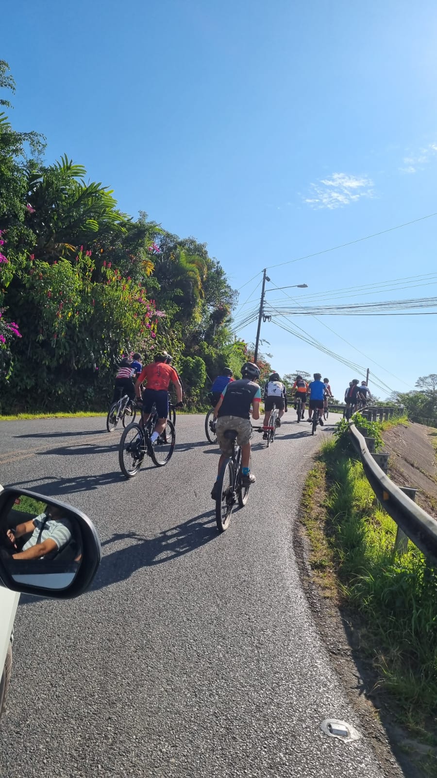 Bicis sales en coto